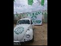 TORCIDA ORGANIZADA DO PALMEIRAS, FORZA VERDE LIVRAS, SE REUNIU PARA CONFRATERNIZAÇÃO DE FIM DE ANO
