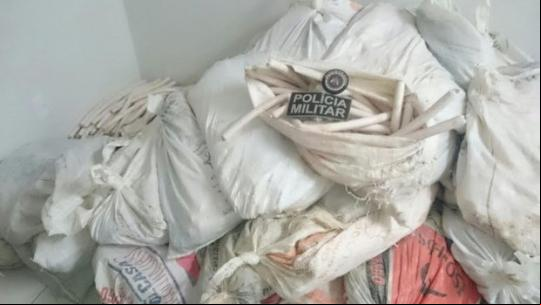 Idosa de 81 anos é presa com mais de 3 mil explosivos dentro de casa na Bahia