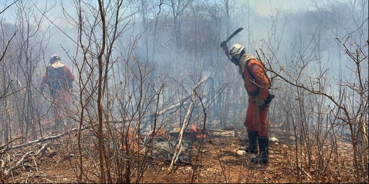 Chapada: Mais de 70 bombeiros atuam no combate de incêndios florestais na região chapadeira
