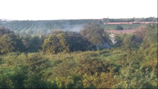 LIVRAMENTO: INCÊNDIO ESPALHA FUMAÇA QUE ATINGE MORADORES DOS BAIRROS SÃO JOSÉ E CENTRO