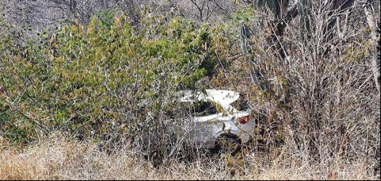 BA-152: APÓS ACIDENTE, MULHER É ATACADA POR ABELHAS